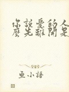 你说爱的人为什么先离开是什么歌