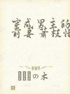 穿成男主的炮灰前妻 萧枝惜