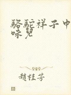 骆驼祥子中的京味儿