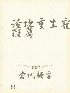 渣攻重生宠受文推荐