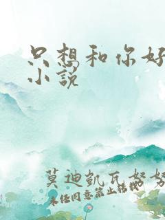只想和你好好的小说