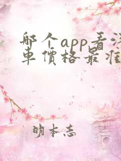 哪个app看汽车价格最准