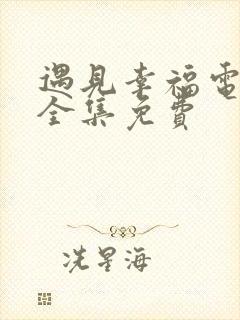 遇见幸福电视剧全集免费