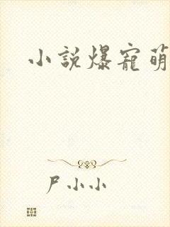 小说爆宠萌妃