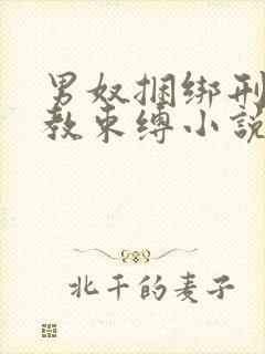 男奴捆绑刑具调教束缚小说