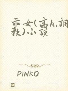 乖女(高h,调教)小说