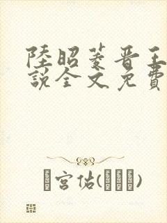 陆昭菱晋王的小说全文免费阅读