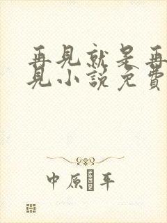 再见就是再也不见小说免费阅读全文