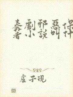 泰剧邪恶保镖原著小说叫什么