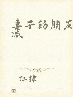 妻子的朋友无删减