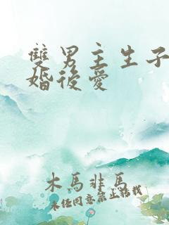 双男主生子文先婚后爱