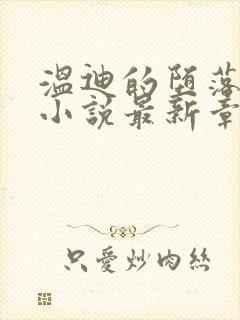 温迪的堕落浮殇小说最新章节列表