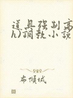 道具强制高潮(h)调教小说