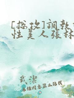 [总攻]调教双性美人张林