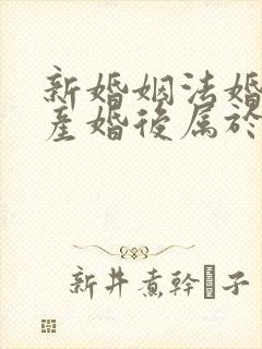 新婚姻法婚前财产婚后属于共同财产吗