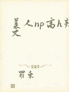 美人np高h辣文