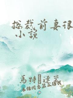 总裁前妻很抢手 小说