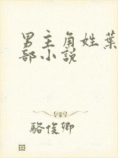 男主角姓叶的全部小说