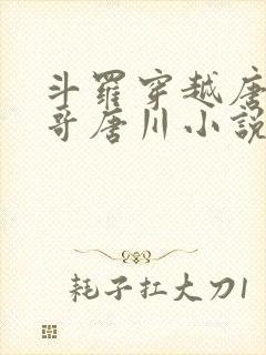 斗罗穿越唐三亲哥唐川小说