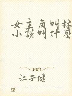 女主角叫林晚的小说叫什么名字