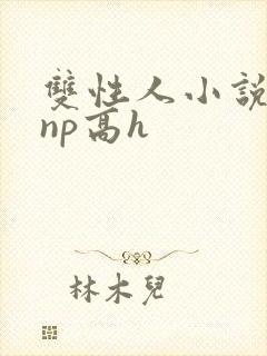 双性人小说纯肉np高h