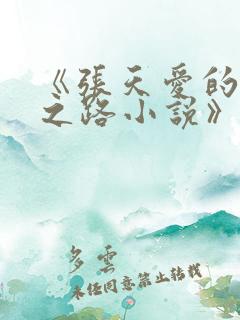 《张天爱的堕落之路小说》免费阅读