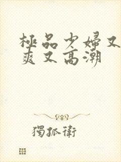 极品少妇又色又爽又高潮