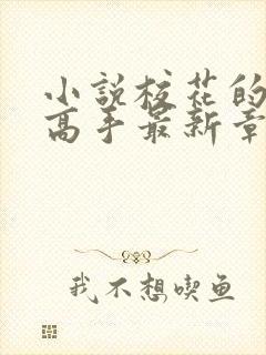 小说校花的贴身高手最新章节列表列表