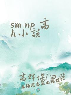 sm np 高h小说