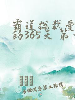 霸道总裁爱上我的365天 第一季