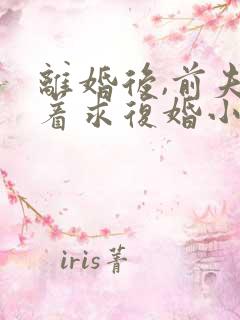 离婚后,前夫哭着求复婚小说阅读