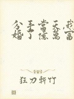 分手当天,我闪婚了亿万富豪 txt