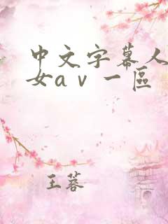 中文字幕人妻熟女aⅴ一区