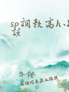 sp调教高h小说