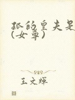 孤的皇夫是美男(女尊)