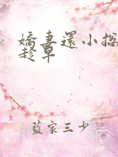 娇妻还小总裁要趁早