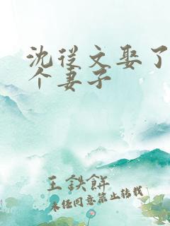 沈从文娶了多少个妻子