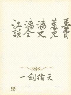 江漓漓叶嘉衍小说全文免费阅读