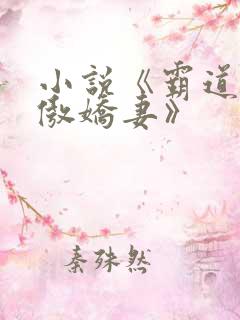 小说《霸道总裁傲娇妻》