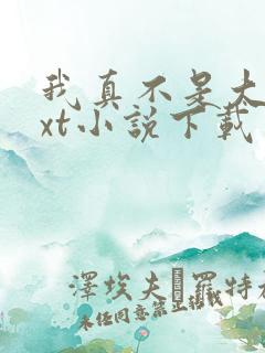 我真不是大佬txt小说下载