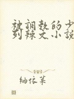 被调教的少妇系列辣文小说