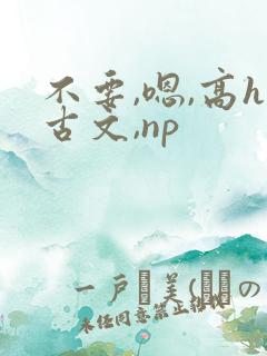 不要,嗯,高h古文,np