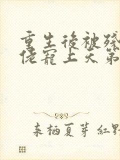 重生后被残疾大佬宠上天第二部