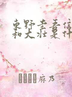 东野圭吾信小美和大壮是什么电影