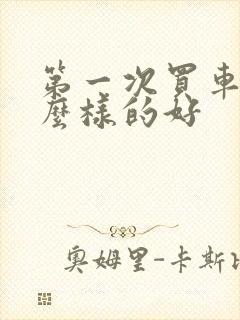 第一次买车买什么样的好