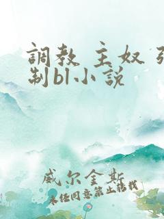 调教 主奴 强制bl小说