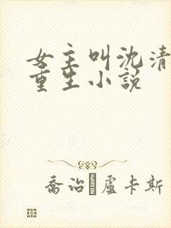 女主叫沈清月的重生小说