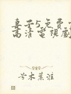 妻子5免费完整高清电视剧在线看