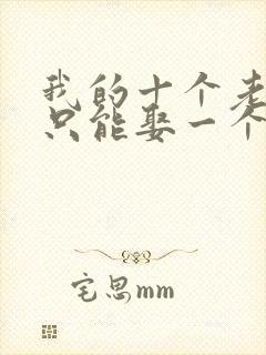 我的十个老婆但只能娶一个