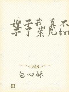 嫂子我真不是傻子了叶凡txt下载